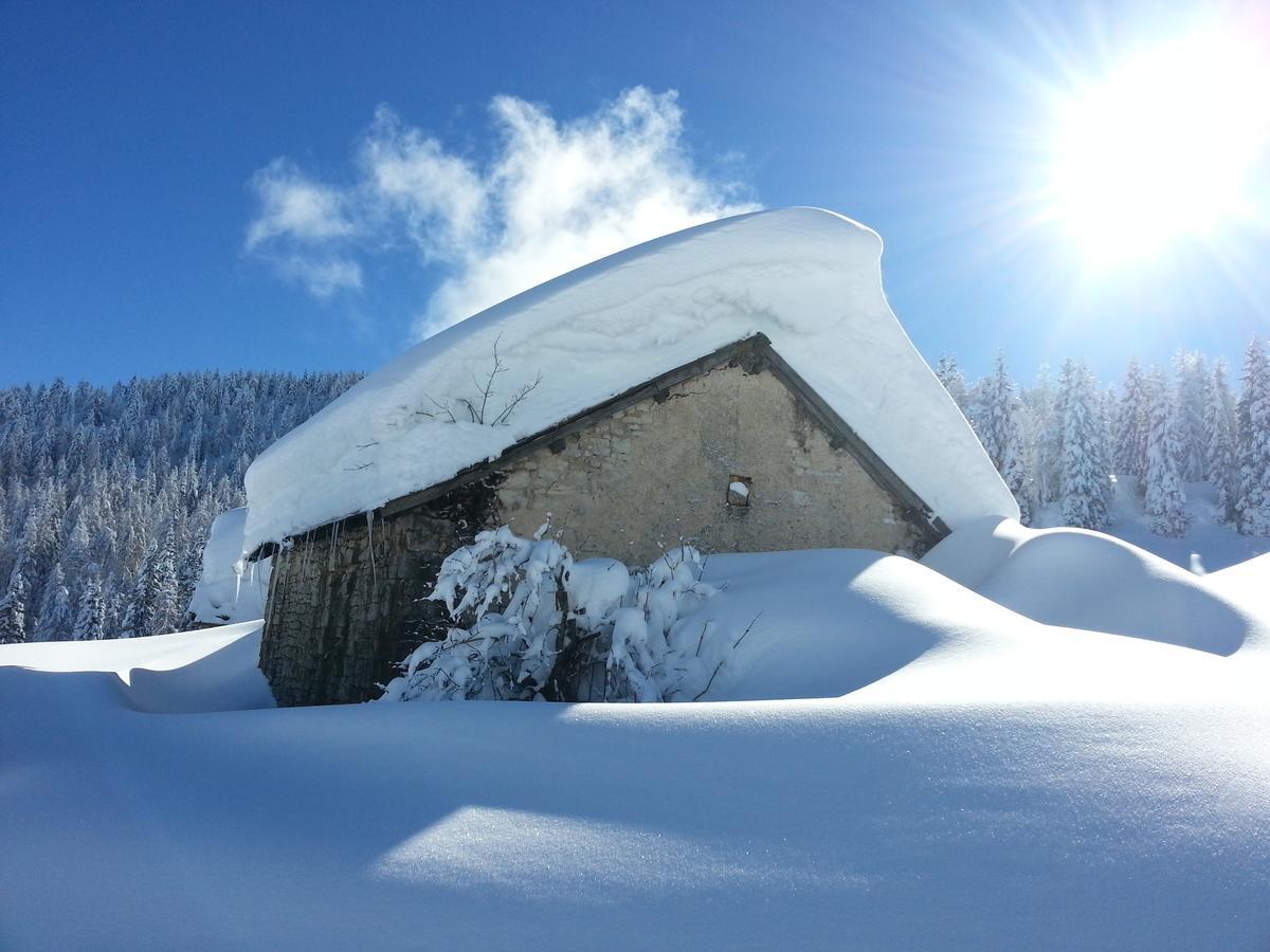 פולגריה Alpine Smart Residence מראה חיצוני תמונה